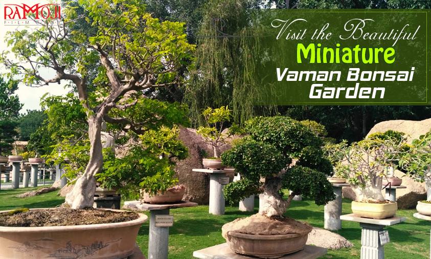 Visit the beautiful miniature Vaman bonsai garden at Ramoji Film City Hyderabad